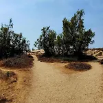 Near Sandy Beaches Propriano