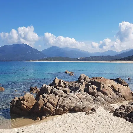 Chalet Near Sandy Beaches Propriano (Corsica)