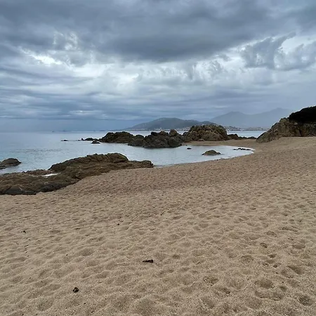 Chalet Near Sandy Beaches