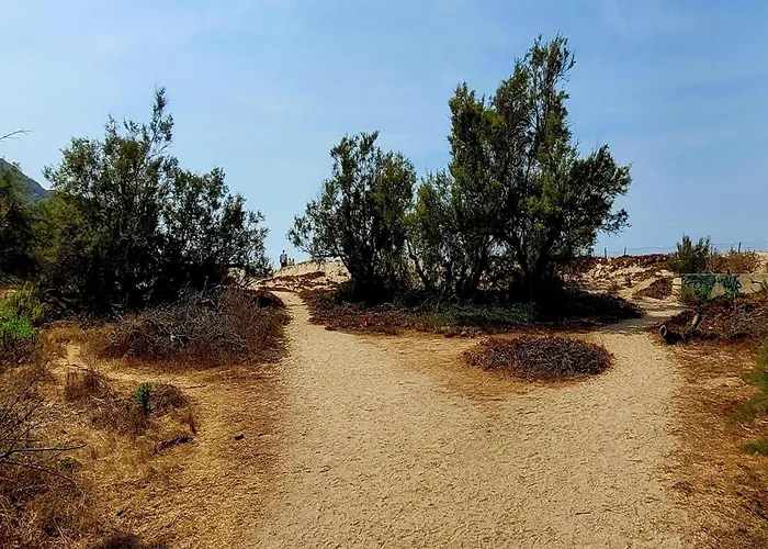 Near Sandy Beaches 普罗普里亚诺
